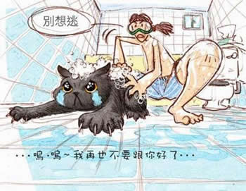 cat_2.jpg