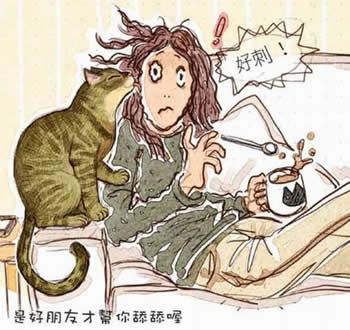 cat_3.jpg