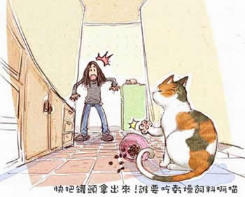 cat_4.jpg