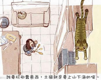 cat_5.jpg