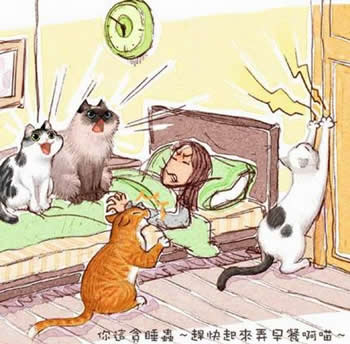 cat_6.jpg