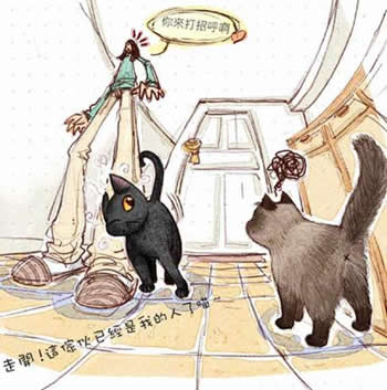 cat_7.jpg