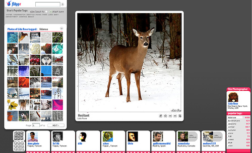flappr_flickr.jpg